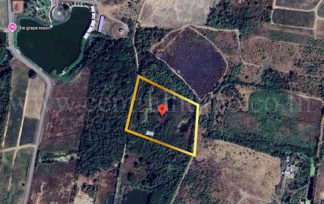 ประกาศฟรี! ซื้อ-ขาย-เช่า คอนโด บ้าน ทาวน์โฮม ที่ดิน และพื้นที่เชิงพาณิชย์ทั่วประเทศไทย ทุกทำเล ทุกงบประมาณ ไม่มีค่าใช้จ่าย ลงง่าย ขายไว เข้าถึงผู้ซื้อโดยตรง 2 231217pic1.jpg