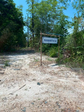 ประกาศฟรี! ซื้อ-ขาย-เช่า คอนโด บ้าน ทาวน์โฮม ที่ดิน และพื้นที่เชิงพาณิชย์ทั่วประเทศไทย ทุกทำเล ทุกงบประมาณ ไม่มีค่าใช้จ่าย ลงง่าย ขายไว เข้าถึงผู้ซื้อโดยตรง 4 306533pic3.jpg