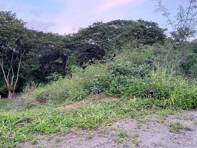 ประกาศฟรี! ซื้อ-ขาย-เช่า คอนโด บ้าน ทาวน์โฮม ที่ดิน และพื้นที่เชิงพาณิชย์ทั่วประเทศไทย ทุกทำเล ทุกงบประมาณ ไม่มีค่าใช้จ่าย ลงง่าย ขายไว เข้าถึงผู้ซื้อโดยตรง 2 306569pic1.jpg