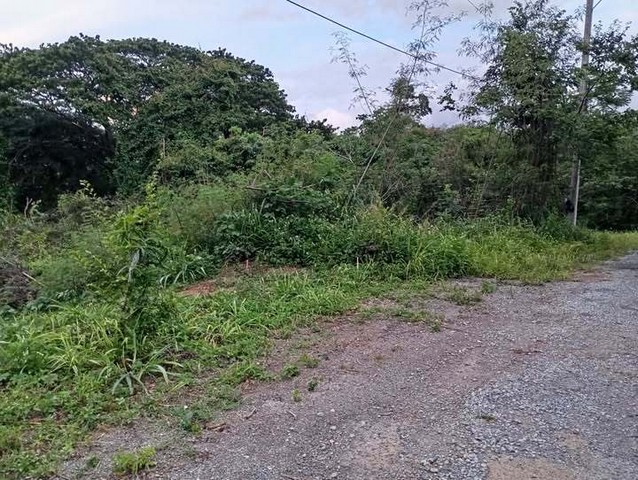 ประกาศฟรี! ซื้อ-ขาย-เช่า คอนโด บ้าน ทาวน์โฮม ที่ดิน และพื้นที่เชิงพาณิชย์ทั่วประเทศไทย ทุกทำเล ทุกงบประมาณ ไม่มีค่าใช้จ่าย ลงง่าย ขายไว เข้าถึงผู้ซื้อโดยตรง 5 306569pic4.jpg