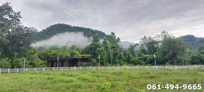 ประกาศฟรี! ซื้อ-ขาย-เช่า คอนโด บ้าน ทาวน์โฮม ที่ดิน และพื้นที่เชิงพาณิชย์ทั่วประเทศไทย ทุกทำเล ทุกงบประมาณ ไม่มีค่าใช้จ่าย ลงง่าย ขายไว เข้าถึงผู้ซื้อโดยตรง 2 503790pic1.jpg