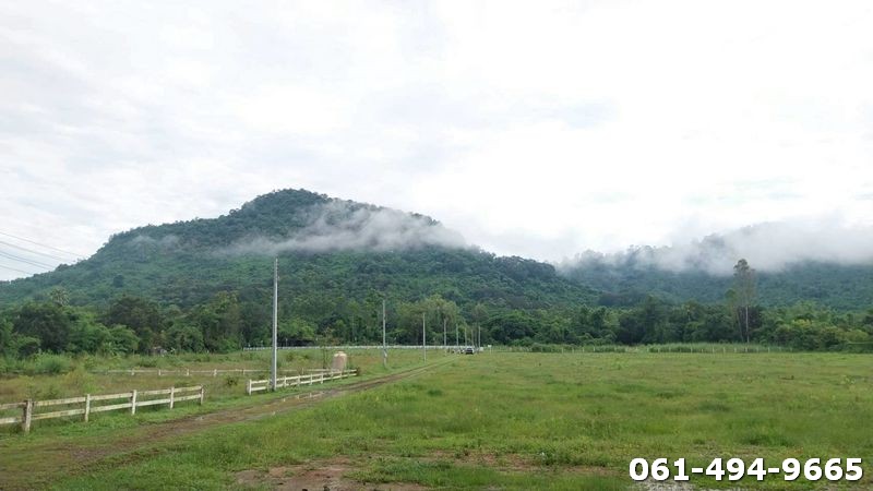 ประกาศฟรี! ซื้อ-ขาย-เช่า คอนโด บ้าน ทาวน์โฮม ที่ดิน และพื้นที่เชิงพาณิชย์ทั่วประเทศไทย ทุกทำเล ทุกงบประมาณ ไม่มีค่าใช้จ่าย ลงง่าย ขายไว เข้าถึงผู้ซื้อโดยตรง 4 503790pic3.jpg