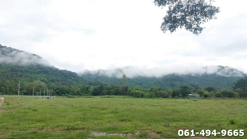 ประกาศฟรี! ซื้อ-ขาย-เช่า คอนโด บ้าน ทาวน์โฮม ที่ดิน และพื้นที่เชิงพาณิชย์ทั่วประเทศไทย ทุกทำเล ทุกงบประมาณ ไม่มีค่าใช้จ่าย ลงง่าย ขายไว เข้าถึงผู้ซื้อโดยตรง 5 503790pic4.jpg