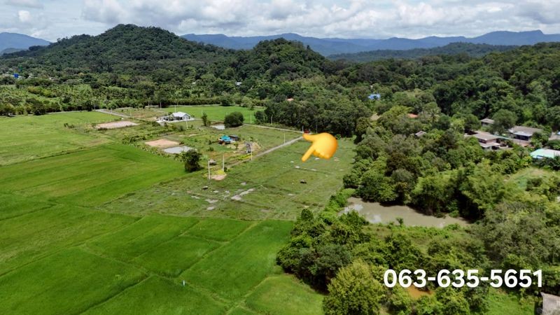 ประกาศฟรี! ซื้อ-ขาย-เช่า คอนโด บ้าน ทาวน์โฮม ที่ดิน และพื้นที่เชิงพาณิชย์ทั่วประเทศไทย ทุกทำเล ทุกงบประมาณ ไม่มีค่าใช้จ่าย ลงง่าย ขายไว เข้าถึงผู้ซื้อโดยตรง 3 503788pic2.jpg