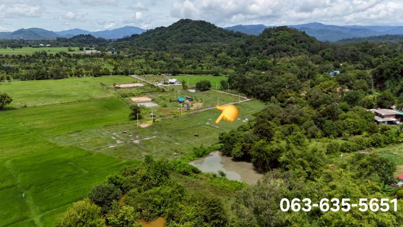 ประกาศฟรี! ซื้อ-ขาย-เช่า คอนโด บ้าน ทาวน์โฮม ที่ดิน และพื้นที่เชิงพาณิชย์ทั่วประเทศไทย ทุกทำเล ทุกงบประมาณ ไม่มีค่าใช้จ่าย ลงง่าย ขายไว เข้าถึงผู้ซื้อโดยตรง 4 503788pic3.jpg