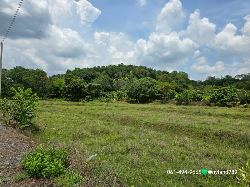 ประกาศฟรี! ซื้อ-ขาย-เช่า คอนโด บ้าน ทาวน์โฮม ที่ดิน และพื้นที่เชิงพาณิชย์ทั่วประเทศไทย ทุกทำเล ทุกงบประมาณ ไม่มีค่าใช้จ่าย ลงง่าย ขายไว เข้าถึงผู้ซื้อโดยตรง 5 503788pic4.jpg