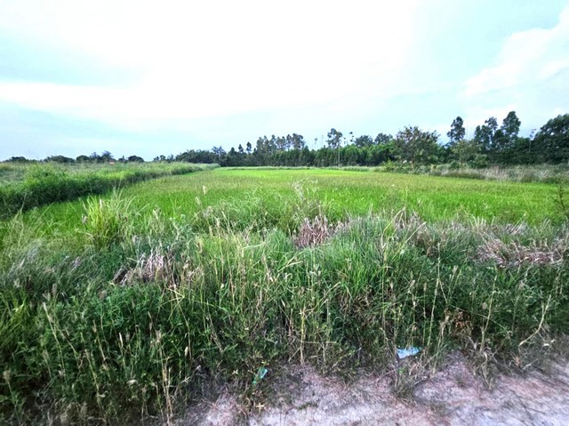 ประกาศฟรี! ซื้อ-ขาย-เช่า คอนโด บ้าน ทาวน์โฮม ที่ดิน และพื้นที่เชิงพาณิชย์ทั่วประเทศไทย ทุกทำเล ทุกงบประมาณ ไม่มีค่าใช้จ่าย ลงง่าย ขายไว เข้าถึงผู้ซื้อโดยตรง 4 306694pic3.jpg