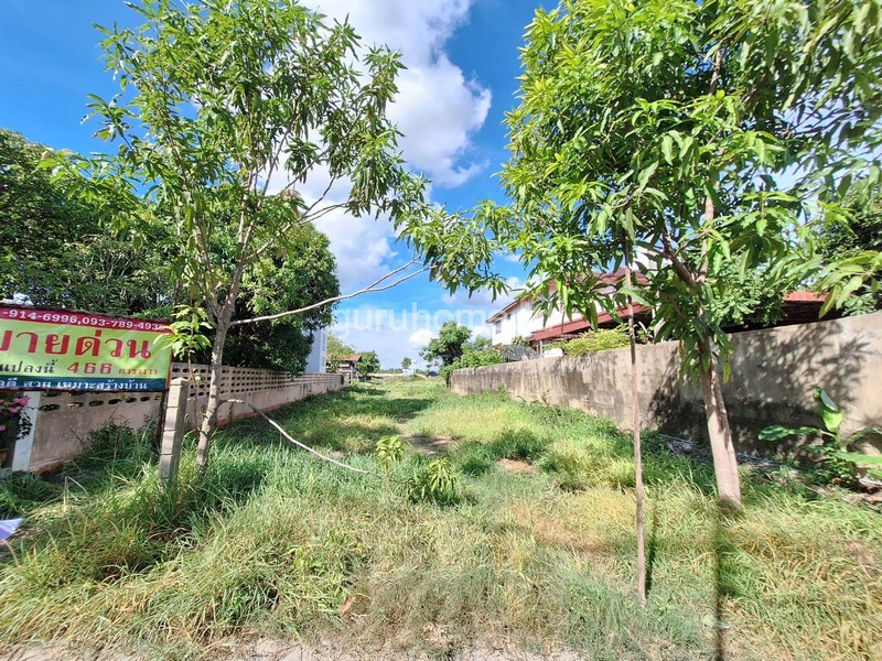 ประกาศฟรี! ซื้อ-ขาย-เช่า คอนโด บ้าน ทาวน์โฮม ที่ดิน และพื้นที่เชิงพาณิชย์ทั่วประเทศไทย ทุกทำเล ทุกงบประมาณ ไม่มีค่าใช้จ่าย ลงง่าย ขายไว เข้าถึงผู้ซื้อโดยตรง 2 73043pic1.jpg