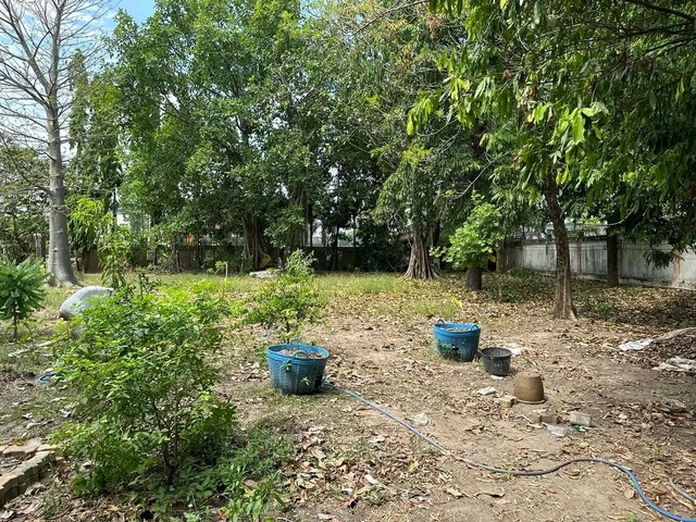 ประกาศฟรี! ซื้อ-ขาย-เช่า คอนโด บ้าน ทาวน์โฮม ที่ดิน และพื้นที่เชิงพาณิชย์ทั่วประเทศไทย ทุกทำเล ทุกงบประมาณ ไม่มีค่าใช้จ่าย ลงง่าย ขายไว เข้าถึงผู้ซื้อโดยตรง 5 12750pic4.jpg