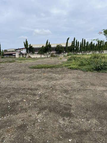 ประกาศฟรี! ซื้อ-ขาย-เช่า คอนโด บ้าน ทาวน์โฮม ที่ดิน และพื้นที่เชิงพาณิชย์ทั่วประเทศไทย ทุกทำเล ทุกงบประมาณ ไม่มีค่าใช้จ่าย ลงง่าย ขายไว เข้าถึงผู้ซื้อโดยตรง 5 306704pic4.jpg