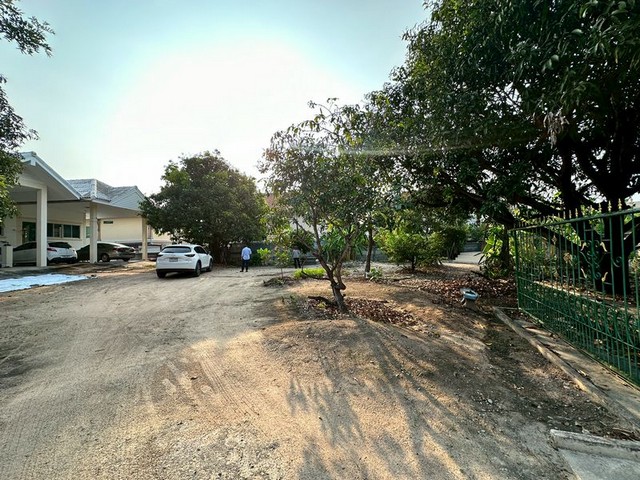 ประกาศฟรี! ซื้อ-ขาย-เช่า คอนโด บ้าน ทาวน์โฮม ที่ดิน และพื้นที่เชิงพาณิชย์ทั่วประเทศไทย ทุกทำเล ทุกงบประมาณ ไม่มีค่าใช้จ่าย ลงง่าย ขายไว เข้าถึงผู้ซื้อโดยตรง 2 291757pic1.jpg