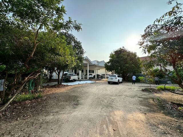 ประกาศฟรี! ซื้อ-ขาย-เช่า คอนโด บ้าน ทาวน์โฮม ที่ดิน และพื้นที่เชิงพาณิชย์ทั่วประเทศไทย ทุกทำเล ทุกงบประมาณ ไม่มีค่าใช้จ่าย ลงง่าย ขายไว เข้าถึงผู้ซื้อโดยตรง 4 291757pic3.jpg