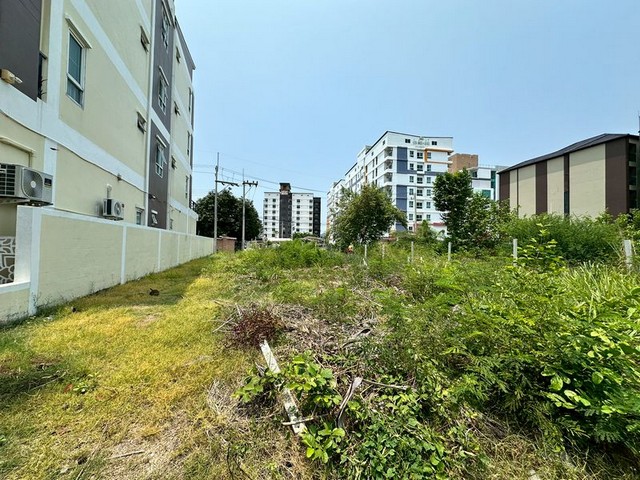 ประกาศฟรี! ซื้อ-ขาย-เช่า คอนโด บ้าน ทาวน์โฮม ที่ดิน และพื้นที่เชิงพาณิชย์ทั่วประเทศไทย ทุกทำเล ทุกงบประมาณ ไม่มีค่าใช้จ่าย ลงง่าย ขายไว เข้าถึงผู้ซื้อโดยตรง 2 291709pic1.jpg