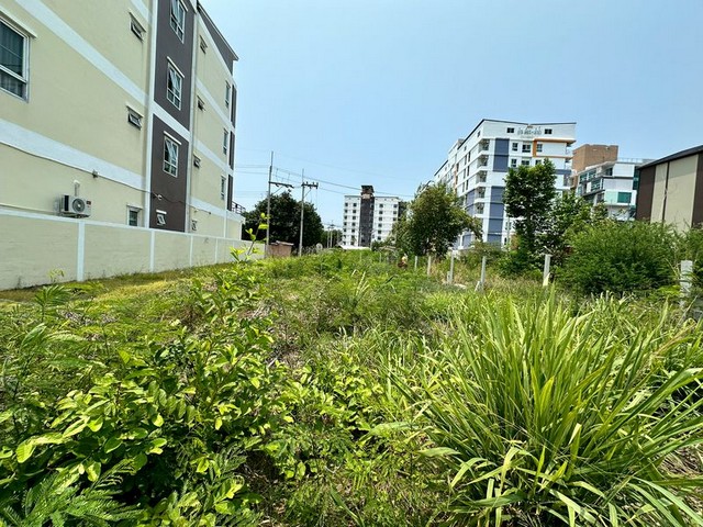 ประกาศฟรี! ซื้อ-ขาย-เช่า คอนโด บ้าน ทาวน์โฮม ที่ดิน และพื้นที่เชิงพาณิชย์ทั่วประเทศไทย ทุกทำเล ทุกงบประมาณ ไม่มีค่าใช้จ่าย ลงง่าย ขายไว เข้าถึงผู้ซื้อโดยตรง 3 291709pic2.jpg