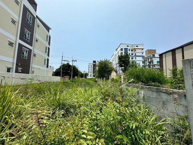 ประกาศฟรี! ซื้อ-ขาย-เช่า คอนโด บ้าน ทาวน์โฮม ที่ดิน และพื้นที่เชิงพาณิชย์ทั่วประเทศไทย ทุกทำเล ทุกงบประมาณ ไม่มีค่าใช้จ่าย ลงง่าย ขายไว เข้าถึงผู้ซื้อโดยตรง 4 291709pic3.jpg