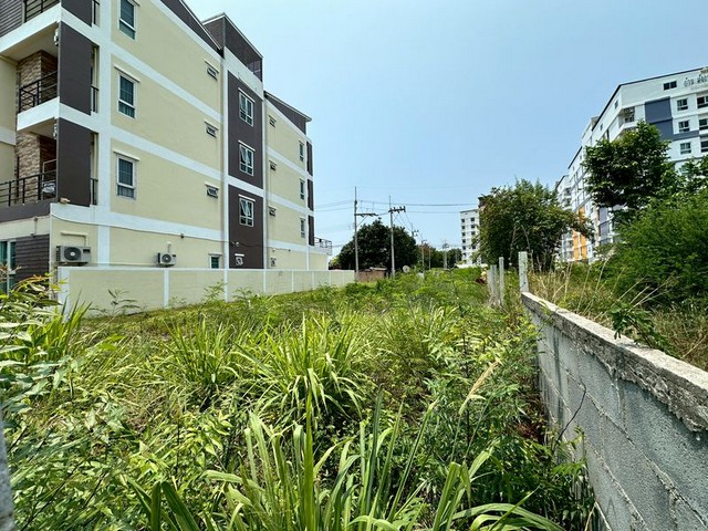 ประกาศฟรี! ซื้อ-ขาย-เช่า คอนโด บ้าน ทาวน์โฮม ที่ดิน และพื้นที่เชิงพาณิชย์ทั่วประเทศไทย ทุกทำเล ทุกงบประมาณ ไม่มีค่าใช้จ่าย ลงง่าย ขายไว เข้าถึงผู้ซื้อโดยตรง 5 291709pic4.jpg