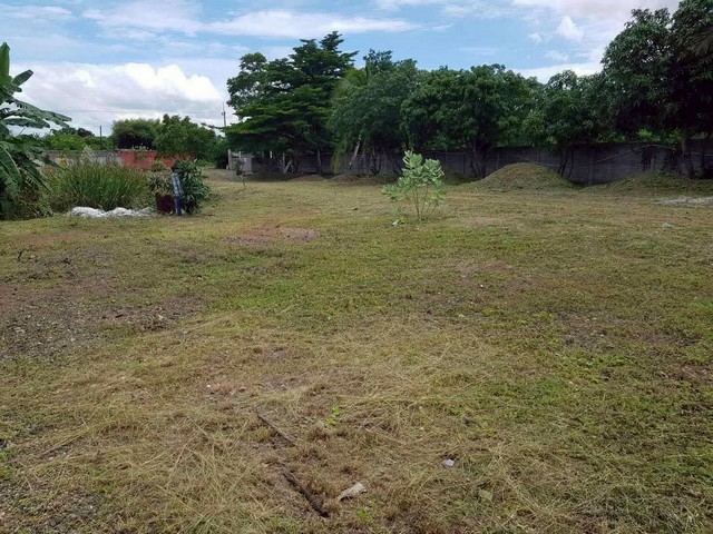 ประกาศฟรี! ซื้อ-ขาย-เช่า คอนโด บ้าน ทาวน์โฮม ที่ดิน และพื้นที่เชิงพาณิชย์ทั่วประเทศไทย ทุกทำเล ทุกงบประมาณ ไม่มีค่าใช้จ่าย ลงง่าย ขายไว เข้าถึงผู้ซื้อโดยตรง 2 231331pic1.jpg