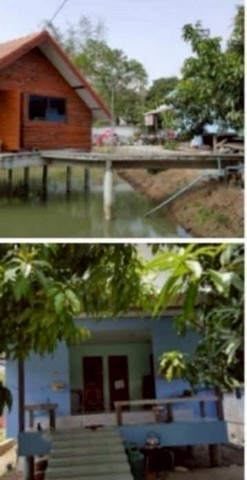 ประกาศฟรี! ซื้อ-ขาย-เช่า คอนโด บ้าน ทาวน์โฮม ที่ดิน และพื้นที่เชิงพาณิชย์ทั่วประเทศไทย ทุกทำเล ทุกงบประมาณ ไม่มีค่าใช้จ่าย ลงง่าย ขายไว เข้าถึงผู้ซื้อโดยตรง 4 231331pic3.jpg