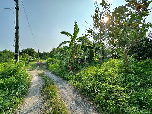 ประกาศฟรี! ซื้อ-ขาย-เช่า คอนโด บ้าน ทาวน์โฮม ที่ดิน และพื้นที่เชิงพาณิชย์ทั่วประเทศไทย ทุกทำเล ทุกงบประมาณ ไม่มีค่าใช้จ่าย ลงง่าย ขายไว เข้าถึงผู้ซื้อโดยตรง 2 291915pic1.jpg