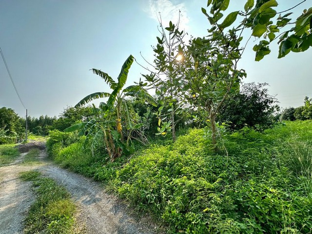 ประกาศฟรี! ซื้อ-ขาย-เช่า คอนโด บ้าน ทาวน์โฮม ที่ดิน และพื้นที่เชิงพาณิชย์ทั่วประเทศไทย ทุกทำเล ทุกงบประมาณ ไม่มีค่าใช้จ่าย ลงง่าย ขายไว เข้าถึงผู้ซื้อโดยตรง 3 291915pic2.jpg