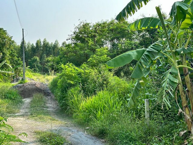 ประกาศฟรี! ซื้อ-ขาย-เช่า คอนโด บ้าน ทาวน์โฮม ที่ดิน และพื้นที่เชิงพาณิชย์ทั่วประเทศไทย ทุกทำเล ทุกงบประมาณ ไม่มีค่าใช้จ่าย ลงง่าย ขายไว เข้าถึงผู้ซื้อโดยตรง 4 291915pic3.jpg