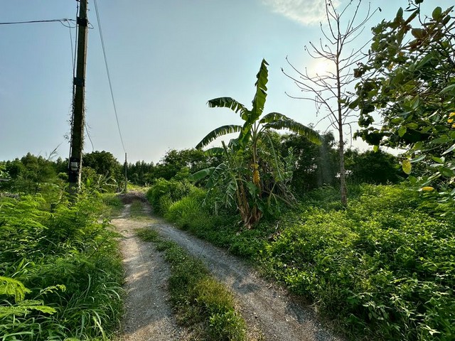 ประกาศฟรี! ซื้อ-ขาย-เช่า คอนโด บ้าน ทาวน์โฮม ที่ดิน และพื้นที่เชิงพาณิชย์ทั่วประเทศไทย ทุกทำเล ทุกงบประมาณ ไม่มีค่าใช้จ่าย ลงง่าย ขายไว เข้าถึงผู้ซื้อโดยตรง 5 291915pic4.jpg