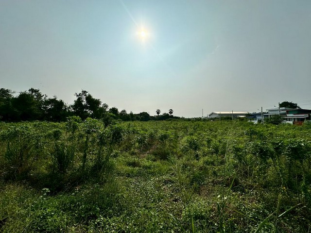 ประกาศฟรี! ซื้อ-ขาย-เช่า คอนโด บ้าน ทาวน์โฮม ที่ดิน และพื้นที่เชิงพาณิชย์ทั่วประเทศไทย ทุกทำเล ทุกงบประมาณ ไม่มีค่าใช้จ่าย ลงง่าย ขายไว เข้าถึงผู้ซื้อโดยตรง 2 291784pic1.jpg