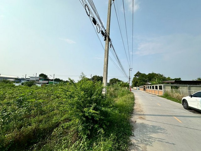 ประกาศฟรี! ซื้อ-ขาย-เช่า คอนโด บ้าน ทาวน์โฮม ที่ดิน และพื้นที่เชิงพาณิชย์ทั่วประเทศไทย ทุกทำเล ทุกงบประมาณ ไม่มีค่าใช้จ่าย ลงง่าย ขายไว เข้าถึงผู้ซื้อโดยตรง 3 291784pic2.jpg