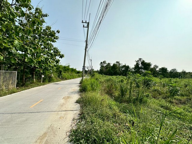 ประกาศฟรี! ซื้อ-ขาย-เช่า คอนโด บ้าน ทาวน์โฮม ที่ดิน และพื้นที่เชิงพาณิชย์ทั่วประเทศไทย ทุกทำเล ทุกงบประมาณ ไม่มีค่าใช้จ่าย ลงง่าย ขายไว เข้าถึงผู้ซื้อโดยตรง 4 291784pic3.jpg