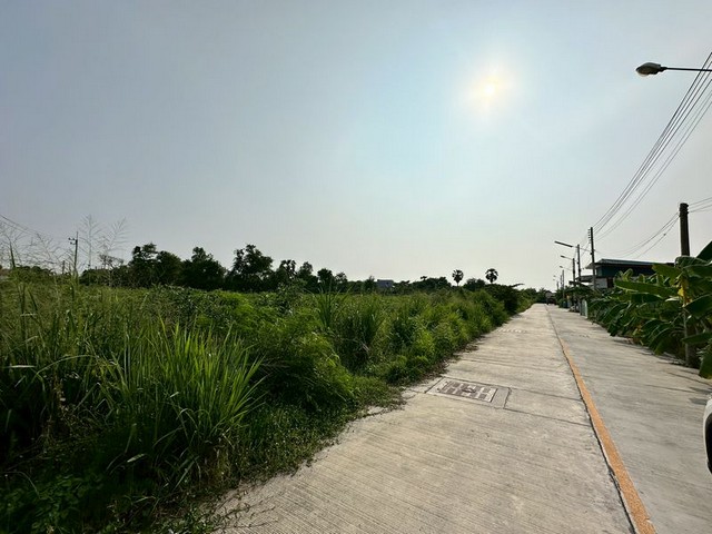 ประกาศฟรี! ซื้อ-ขาย-เช่า คอนโด บ้าน ทาวน์โฮม ที่ดิน และพื้นที่เชิงพาณิชย์ทั่วประเทศไทย ทุกทำเล ทุกงบประมาณ ไม่มีค่าใช้จ่าย ลงง่าย ขายไว เข้าถึงผู้ซื้อโดยตรง 5 291784pic4.jpg