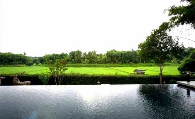 ประกาศฟรี! ซื้อ-ขาย-เช่า คอนโด บ้าน ทาวน์โฮม ที่ดิน และพื้นที่เชิงพาณิชย์ทั่วประเทศไทย ทุกทำเล ทุกงบประมาณ ไม่มีค่าใช้จ่าย ลงง่าย ขายไว เข้าถึงผู้ซื้อโดยตรง 4 231553pic3.jpg