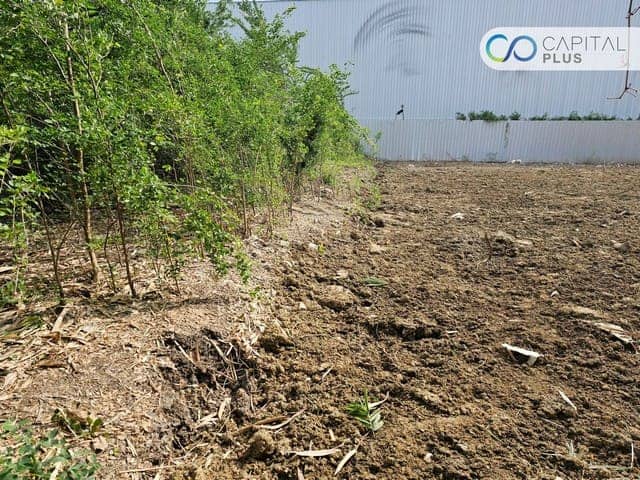 ประกาศฟรี! ซื้อ-ขาย-เช่า คอนโด บ้าน ทาวน์โฮม ที่ดิน และพื้นที่เชิงพาณิชย์ทั่วประเทศไทย ทุกทำเล ทุกงบประมาณ ไม่มีค่าใช้จ่าย ลงง่าย ขายไว เข้าถึงผู้ซื้อโดยตรง 5 17916pic4.jpg