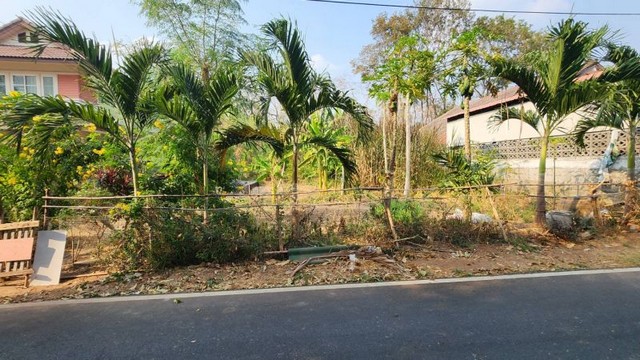 ประกาศฟรี! ซื้อ-ขาย-เช่า คอนโด บ้าน ทาวน์โฮม ที่ดิน และพื้นที่เชิงพาณิชย์ทั่วประเทศไทย ทุกทำเล ทุกงบประมาณ ไม่มีค่าใช้จ่าย ลงง่าย ขายไว เข้าถึงผู้ซื้อโดยตรง 2 306851pic1.jpg