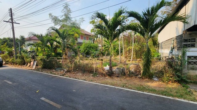 ประกาศฟรี! ซื้อ-ขาย-เช่า คอนโด บ้าน ทาวน์โฮม ที่ดิน และพื้นที่เชิงพาณิชย์ทั่วประเทศไทย ทุกทำเล ทุกงบประมาณ ไม่มีค่าใช้จ่าย ลงง่าย ขายไว เข้าถึงผู้ซื้อโดยตรง 4 306851pic3.jpg