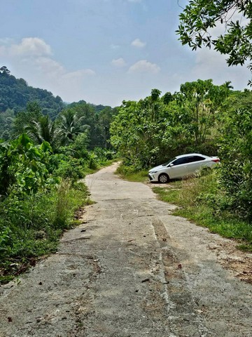 ประกาศฟรี! ซื้อ-ขาย-เช่า คอนโด บ้าน ทาวน์โฮม ที่ดิน และพื้นที่เชิงพาณิชย์ทั่วประเทศไทย ทุกทำเล ทุกงบประมาณ ไม่มีค่าใช้จ่าย ลงง่าย ขายไว เข้าถึงผู้ซื้อโดยตรง 5 306870pic4.jpg