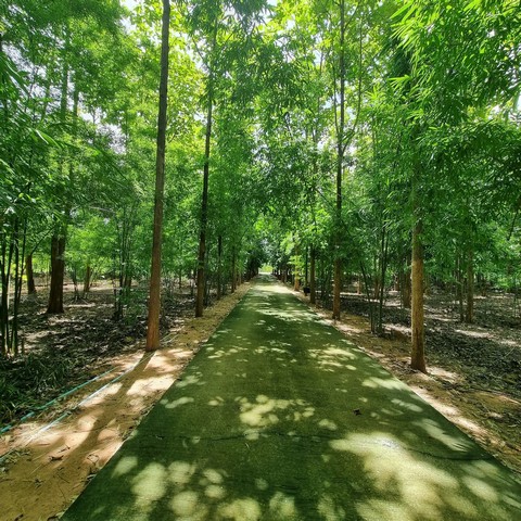 ประกาศฟรี! ซื้อ-ขาย-เช่า คอนโด บ้าน ทาวน์โฮม ที่ดิน และพื้นที่เชิงพาณิชย์ทั่วประเทศไทย ทุกทำเล ทุกงบประมาณ ไม่มีค่าใช้จ่าย ลงง่าย ขายไว เข้าถึงผู้ซื้อโดยตรง 5 231484pic4.jpg