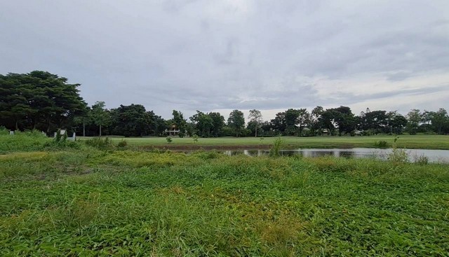 ประกาศฟรี! ซื้อ-ขาย-เช่า คอนโด บ้าน ทาวน์โฮม ที่ดิน และพื้นที่เชิงพาณิชย์ทั่วประเทศไทย ทุกทำเล ทุกงบประมาณ ไม่มีค่าใช้จ่าย ลงง่าย ขายไว เข้าถึงผู้ซื้อโดยตรง 5 231482pic4.jpg