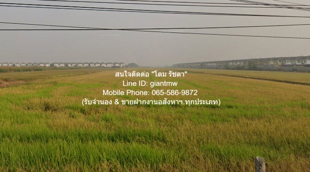 ประกาศฟรี! ซื้อ-ขาย-เช่า คอนโด บ้าน ทาวน์โฮม ที่ดิน และพื้นที่เชิงพาณิชย์ทั่วประเทศไทย ทุกทำเล ทุกงบประมาณ ไม่มีค่าใช้จ่าย ลงง่าย ขายไว เข้าถึงผู้ซื้อโดยตรง 4 282486pic3.jpg