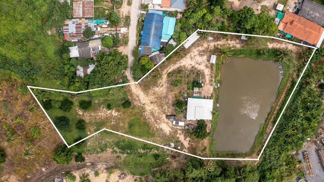 ประกาศฟรี! ซื้อ-ขาย-เช่า คอนโด บ้าน ทาวน์โฮม ที่ดิน และพื้นที่เชิงพาณิชย์ทั่วประเทศไทย ทุกทำเล ทุกงบประมาณ ไม่มีค่าใช้จ่าย ลงง่าย ขายไว เข้าถึงผู้ซื้อโดยตรง 4 292469pic3.jpg