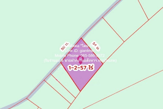 ประกาศฟรี! ซื้อ-ขาย-เช่า คอนโด บ้าน ทาวน์โฮม ที่ดิน และพื้นที่เชิงพาณิชย์ทั่วประเทศไทย ทุกทำเล ทุกงบประมาณ ไม่มีค่าใช้จ่าย ลงง่าย ขายไว เข้าถึงผู้ซื้อโดยตรง 2 280149pic1.jpg