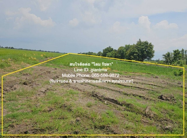 ประกาศฟรี! ซื้อ-ขาย-เช่า คอนโด บ้าน ทาวน์โฮม ที่ดิน และพื้นที่เชิงพาณิชย์ทั่วประเทศไทย ทุกทำเล ทุกงบประมาณ ไม่มีค่าใช้จ่าย ลงง่าย ขายไว เข้าถึงผู้ซื้อโดยตรง 5 279317pic4.jpg