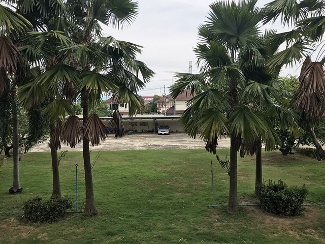 ประกาศฟรี! ซื้อ-ขาย-เช่า คอนโด บ้าน ทาวน์โฮม ที่ดิน และพื้นที่เชิงพาณิชย์ทั่วประเทศไทย ทุกทำเล ทุกงบประมาณ ไม่มีค่าใช้จ่าย ลงง่าย ขายไว เข้าถึงผู้ซื้อโดยตรง 2 199163pic1.jpg