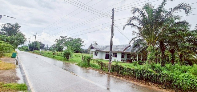 ประกาศฟรี! ซื้อ-ขาย-เช่า คอนโด บ้าน ทาวน์โฮม ที่ดิน และพื้นที่เชิงพาณิชย์ทั่วประเทศไทย ทุกทำเล ทุกงบประมาณ ไม่มีค่าใช้จ่าย ลงง่าย ขายไว เข้าถึงผู้ซื้อโดยตรง 4 292116pic3.jpg