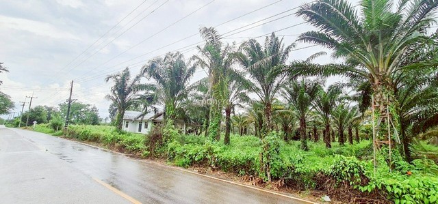 ประกาศฟรี! ซื้อ-ขาย-เช่า คอนโด บ้าน ทาวน์โฮม ที่ดิน และพื้นที่เชิงพาณิชย์ทั่วประเทศไทย ทุกทำเล ทุกงบประมาณ ไม่มีค่าใช้จ่าย ลงง่าย ขายไว เข้าถึงผู้ซื้อโดยตรง 5 292116pic4.jpg