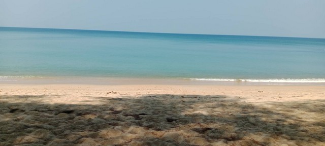 ประกาศฟรี! ซื้อ-ขาย-เช่า คอนโด บ้าน ทาวน์โฮม ที่ดิน และพื้นที่เชิงพาณิชย์ทั่วประเทศไทย ทุกทำเล ทุกงบประมาณ ไม่มีค่าใช้จ่าย ลงง่าย ขายไว เข้าถึงผู้ซื้อโดยตรง 2 234111pic1.jpg