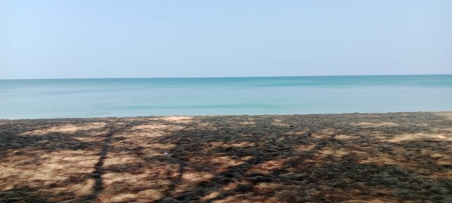 ประกาศฟรี! ซื้อ-ขาย-เช่า คอนโด บ้าน ทาวน์โฮม ที่ดิน และพื้นที่เชิงพาณิชย์ทั่วประเทศไทย ทุกทำเล ทุกงบประมาณ ไม่มีค่าใช้จ่าย ลงง่าย ขายไว เข้าถึงผู้ซื้อโดยตรง 3 234111pic2.jpg