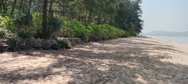 ประกาศฟรี! ซื้อ-ขาย-เช่า คอนโด บ้าน ทาวน์โฮม ที่ดิน และพื้นที่เชิงพาณิชย์ทั่วประเทศไทย ทุกทำเล ทุกงบประมาณ ไม่มีค่าใช้จ่าย ลงง่าย ขายไว เข้าถึงผู้ซื้อโดยตรง 4 234111pic3.jpg