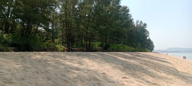 ประกาศฟรี! ซื้อ-ขาย-เช่า คอนโด บ้าน ทาวน์โฮม ที่ดิน และพื้นที่เชิงพาณิชย์ทั่วประเทศไทย ทุกทำเล ทุกงบประมาณ ไม่มีค่าใช้จ่าย ลงง่าย ขายไว เข้าถึงผู้ซื้อโดยตรง 5 234111pic4.jpg