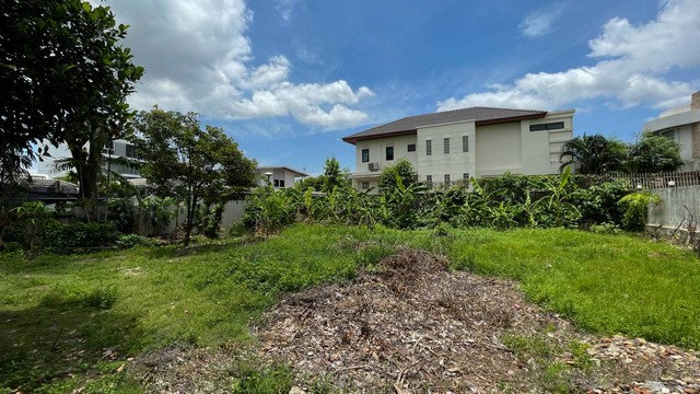 ประกาศฟรี! ซื้อ-ขาย-เช่า คอนโด บ้าน ทาวน์โฮม ที่ดิน และพื้นที่เชิงพาณิชย์ทั่วประเทศไทย ทุกทำเล ทุกงบประมาณ ไม่มีค่าใช้จ่าย ลงง่าย ขายไว เข้าถึงผู้ซื้อโดยตรง 2 504319pic1.jpg