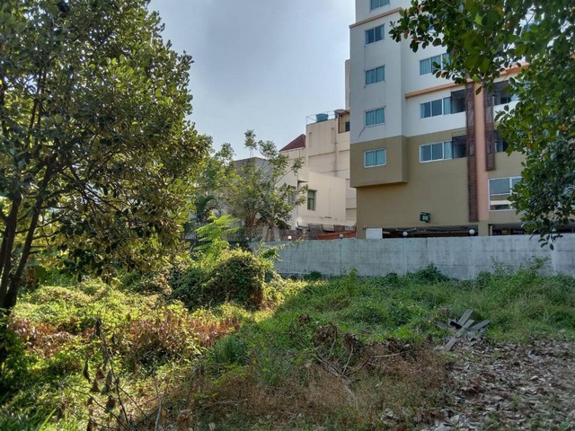 ประกาศฟรี! ซื้อ-ขาย-เช่า คอนโด บ้าน ทาวน์โฮม ที่ดิน และพื้นที่เชิงพาณิชย์ทั่วประเทศไทย ทุกทำเล ทุกงบประมาณ ไม่มีค่าใช้จ่าย ลงง่าย ขายไว เข้าถึงผู้ซื้อโดยตรง 3 504319pic2.jpg